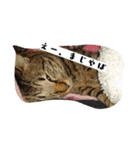 猫のりお（個別スタンプ：20）