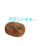 うさぎの大豆くんスタンプ(そい1)（個別スタンプ：15）