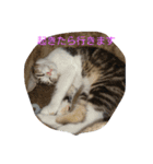 きなこあめ2（個別スタンプ：9）