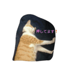 きなこあめ2（個別スタンプ：12）