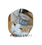 きなこあめ2（個別スタンプ：13）