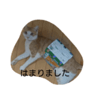 きなこあめ2（個別スタンプ：19）