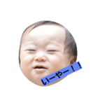 おーちゃんの日常（個別スタンプ：8）