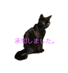 アルとルカ ビジネス編（個別スタンプ：3）