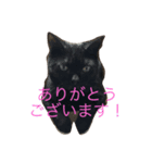 アルとルカ ビジネス編（個別スタンプ：6）