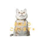 アルとルカ ビジネス編（個別スタンプ：7）