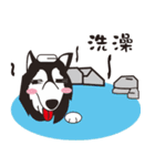 Husky story（個別スタンプ：18）