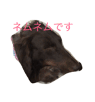 ある日のミニチュアダックス（個別スタンプ：4）