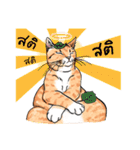 猫絵 : トラ猫（個別スタンプ：16）