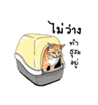 猫絵 : トラ猫（個別スタンプ：34）