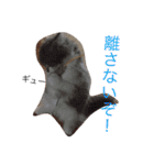 ねこはうす（個別スタンプ：15）