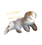 ねこはうす（個別スタンプ：23）