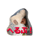 赤ちゃんスタンプ 1（個別スタンプ：35）