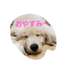ルーク＆ニック＆ライク（個別スタンプ：1）
