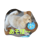 ルーク＆ニック＆ライク（個別スタンプ：4）