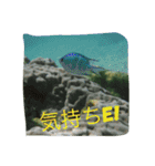 南国のスタンプ（個別スタンプ：14）