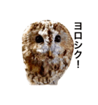 モリフクロウの「まる」♂2（個別スタンプ：1）