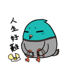 鳩のステッカー（個別スタンプ：11）