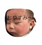 しどたんです（個別スタンプ：8）