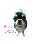 ラブちゃんスタンプ2（個別スタンプ：1）