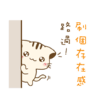 Hani cat-cute kitten sticker2（個別スタンプ：11）