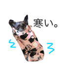 ここりおスタンプ（個別スタンプ：9）