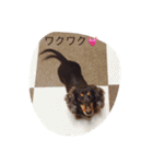リリーの気持ち2（個別スタンプ：19）