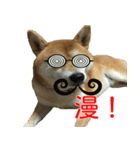 柴犬 はち 俺にも喋らせろ！ 3.5.8（個別スタンプ：15）