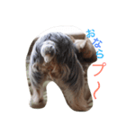 もぐもぐでち。（個別スタンプ：2）