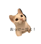 虎徹2（個別スタンプ：4）