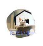 虎徹2（個別スタンプ：8）