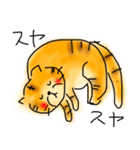 ちゃちゃだよ。にゃんたま。（個別スタンプ：2）