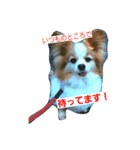 ノアくんの1日（個別スタンプ：5）