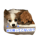 ノアくんの1日（個別スタンプ：6）
