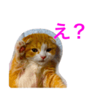 とらたさん その2（個別スタンプ：11）