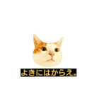 毛玉もふもふスタンプR（個別スタンプ：5）