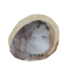 モフモフな気持ち（個別スタンプ：2）