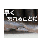 シガー(葉巻)を楽しむ紳士淑女のスタンプ.6（個別スタンプ：14）