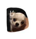紀伊長島弁（個別スタンプ：2）