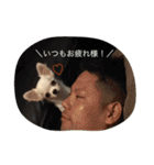 紀伊長島弁（個別スタンプ：6）