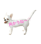 紀伊長島弁（個別スタンプ：30）