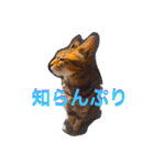 我が家のキジ猫❤︎（個別スタンプ：2）