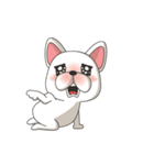 Bert the French Bulldog（個別スタンプ：9）