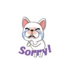 Bert the French Bulldog（個別スタンプ：11）