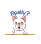 Bert the French Bulldog（個別スタンプ：22）