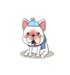 Bert the French Bulldog（個別スタンプ：23）