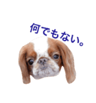 まるみのきもち2（個別スタンプ：5）