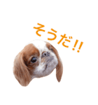 まるみのきもち2（個別スタンプ：6）