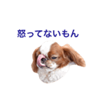 まるみのきもち2（個別スタンプ：8）
