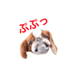 まるみのきもち2（個別スタンプ：9）